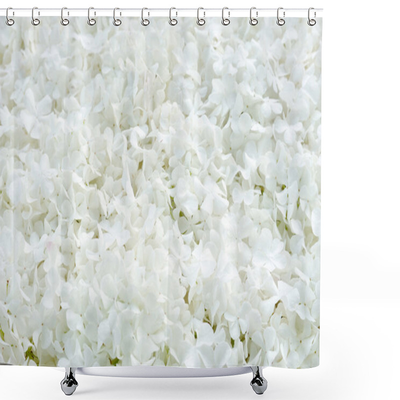 Personality  Guelder Rose Blossoms - Background Shower Curtains