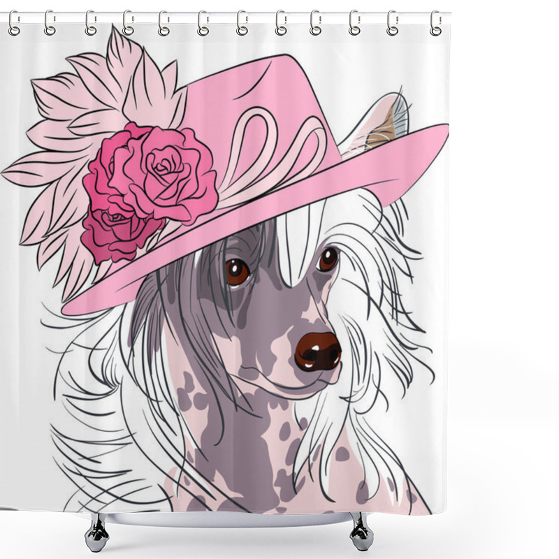 Personality  Vector Funny Cartoon Hipster Dog Chinese Crested Breed Shower Curtains