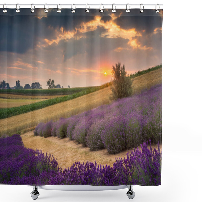 Personality  Sunrise Over The Lavender Field In Ostrow Near Cracow, Malopolskie, Poland Shower Curtains