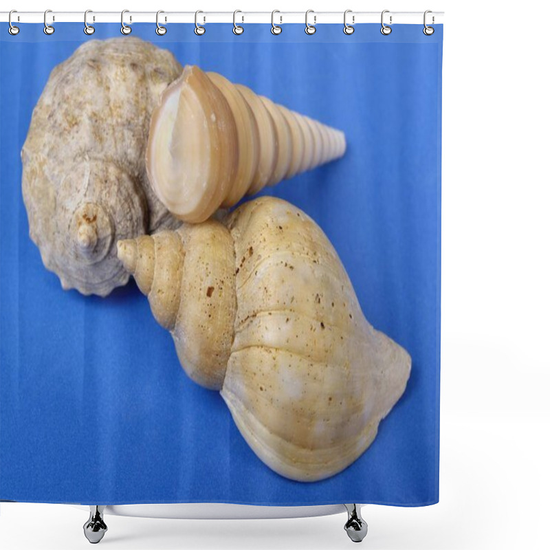 Personality  Snail Bowls And Shells Isolated On Blue Surface  Shower Curtains