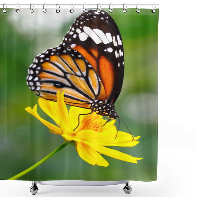 Personality  Butterfly Shower Curtains