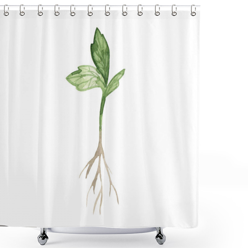 Personality  Watercolor Hand Drawing Green Sprout With Root Isolated On White Background. Spring Seedlings. Garden. Shower Curtains