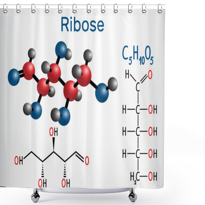 Personality  Linear Form (acyclic) Of Ribose Molecule, It Is A Pentose Monosaccharide (simple Sugar), Which Has All The Hydroxyl Groups On The Same Side. Structural Chemical Formula And Molecule Model. Vector Illustration Shower Curtains