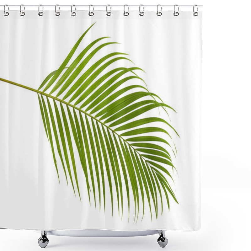 Personality  Yellow Palm Leaves (Dypsis Lutescens) Or Golden Cane Palm, Areca Palm Leaves, Tropical Foliage Isolated On White Background With Clipping Path Shower Curtains