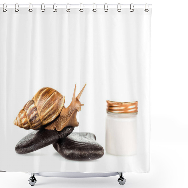 Personality  Brown Snail On Spa Stones Near Cosmetic Cream Container Isolated On White Shower Curtains