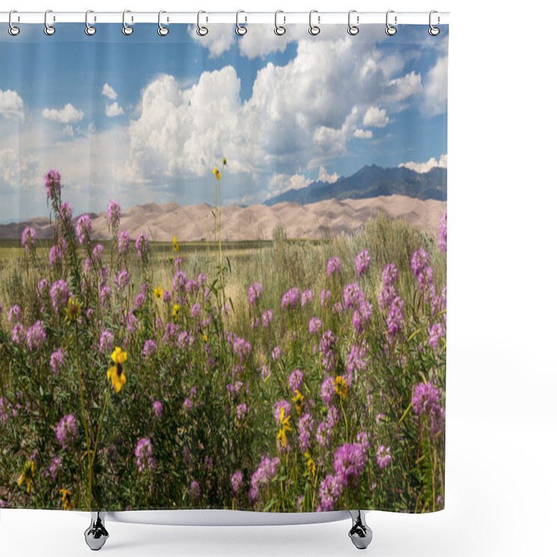 Personality  Panorama Of Great Sand Dunes NP  Shower Curtains