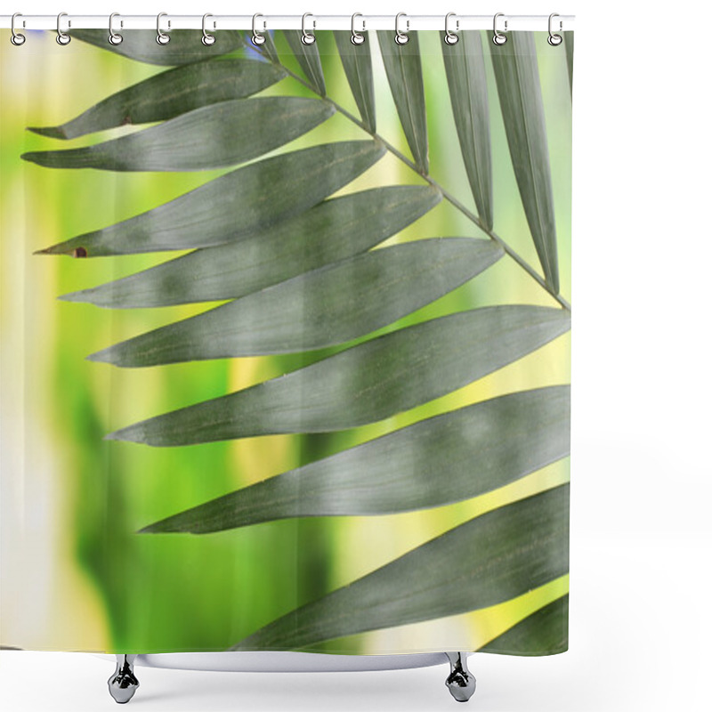 Personality  Beautiful Palm Leaf On Green Background Shower Curtains