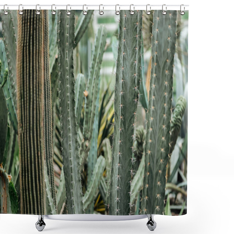 Personality  Sharp Green Exotic Cacti In Botanical Garden Shower Curtains