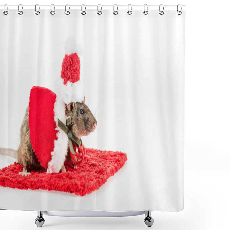 Personality  Rat In Costume And Santa Hat On Red Carpet On White Background In New Year  Shower Curtains