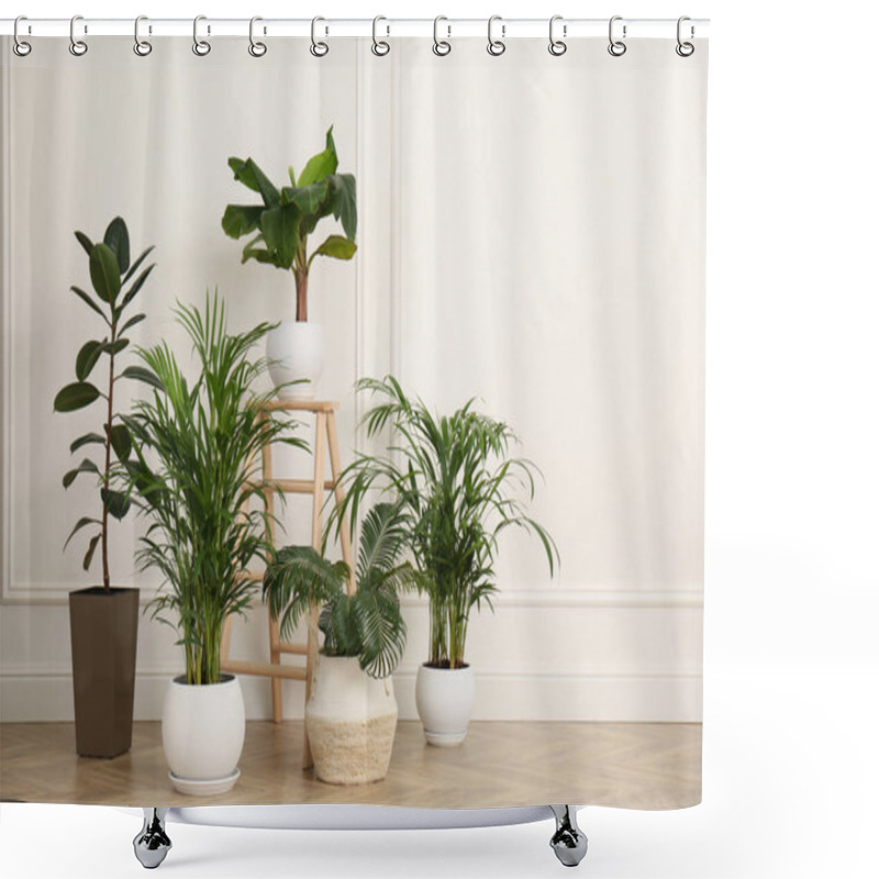 Personality  Different Beautiful Indoor Plants In Room. House Decoration Shower Curtains