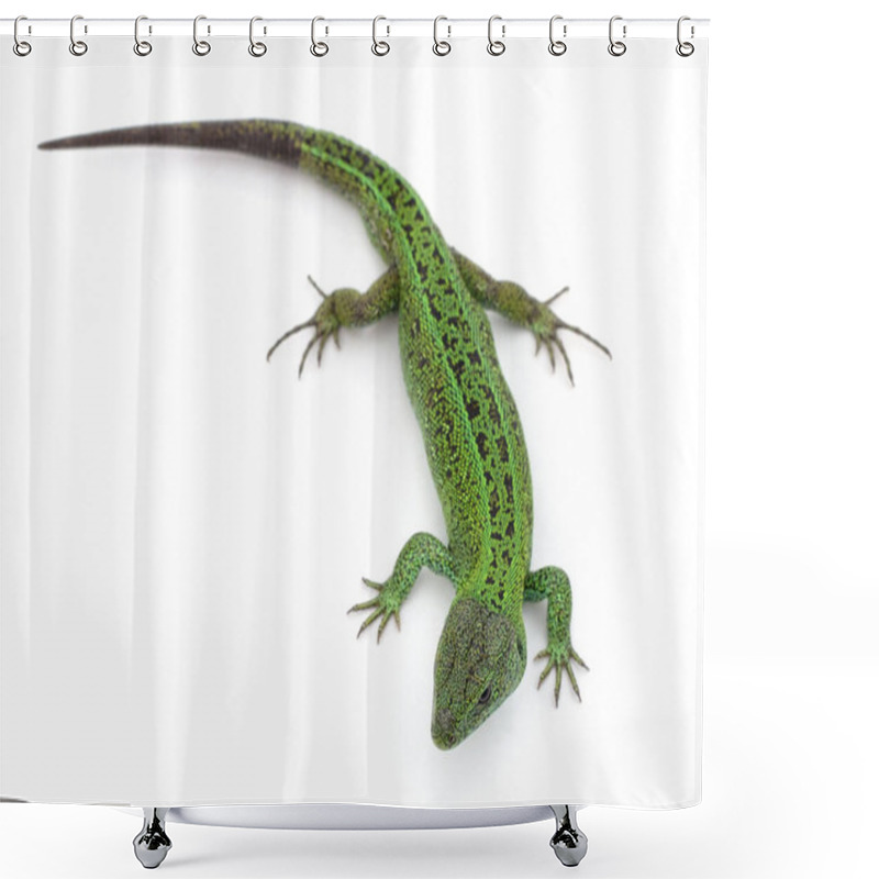 Personality  One Green Lizard Isolated On A White Background. Shower Curtains