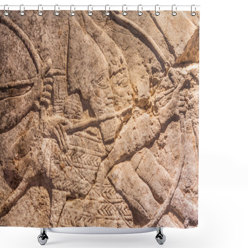 Personality  Assyriam Relief. Arches In A Battle. Niniveh Ruins. Mesopotamia, Iraq Shower Curtains