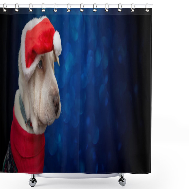 Personality  Short Hair Puppy Dog Wearing A Santa Hat And A Red Sweater On Defocused Blue Bubble Bokeh Background, Copy Space Banner Backdrop  Shower Curtains