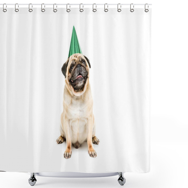 Personality  Dog In Party Hat Shower Curtains