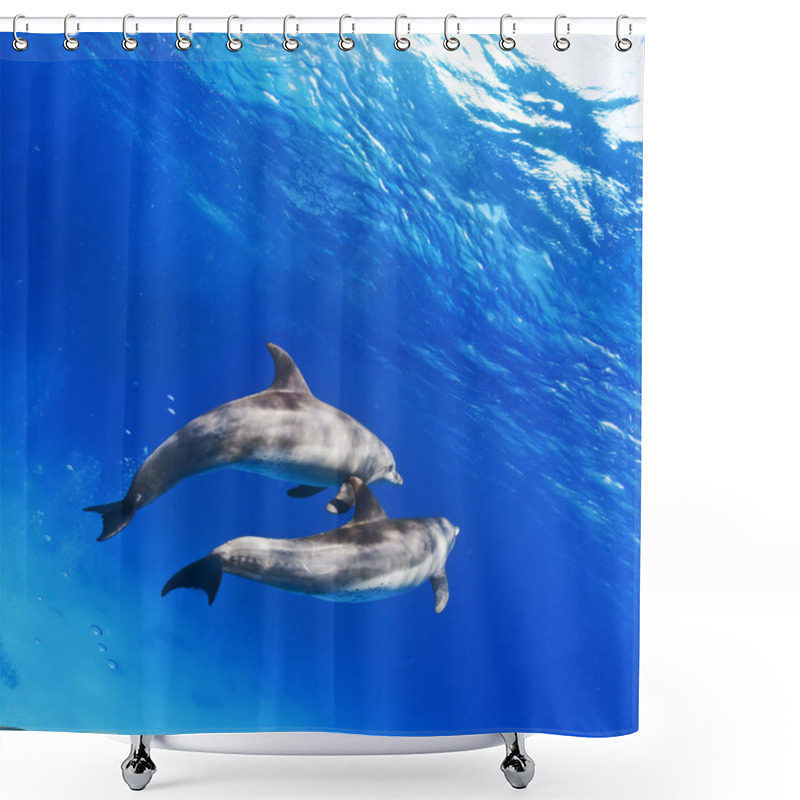 Personality  A Pair Of Dolphins Underwater In Open Water Shower Curtains