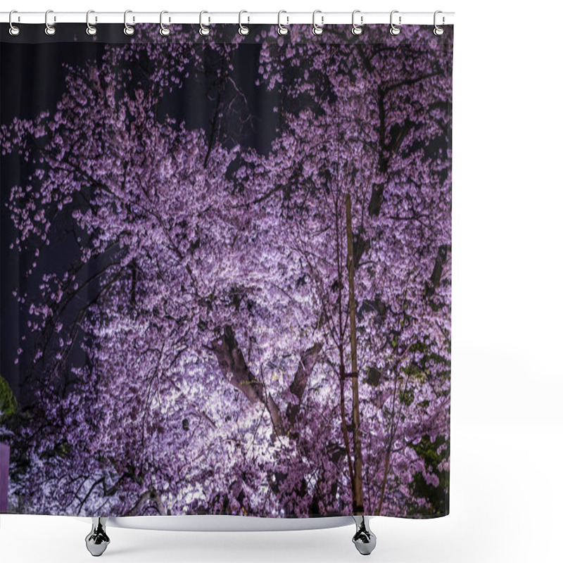 Personality  Of Chidorigafuchi Going To See Cherry Blossoms At Night Shower Curtains