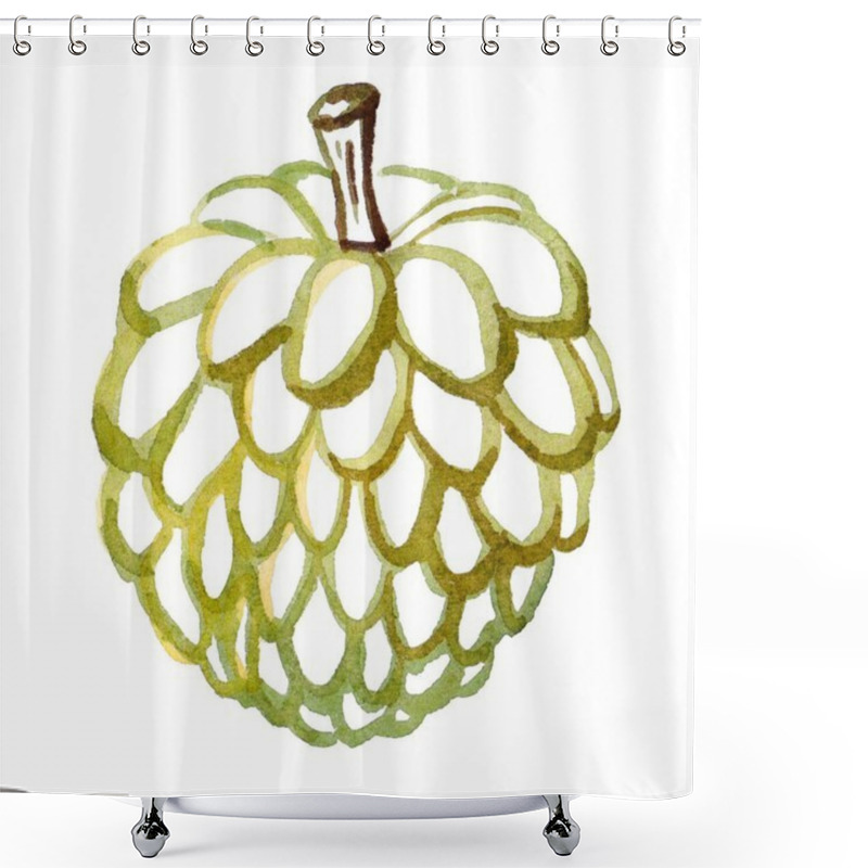 Personality  Handcrafted Vibrant Illustration Of A Custard Apple With Detailed Contours. For Food Packaging, Botanical Prints, And Educational Materials, Adding A Tropical Touch To Various Creative Projects. Shower Curtains