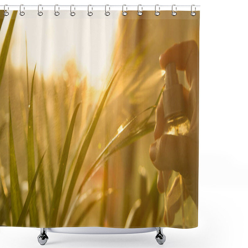 Personality  Female Hand Gently Spraying Sunlit Lush Green Areca Palm Leaves. Sun Flare And Sprinkle Shine While Watering Golden Cane Palm. Urban Jungle Maintenance In Beautiful Golden Afternoon Sunlight Shower Curtains