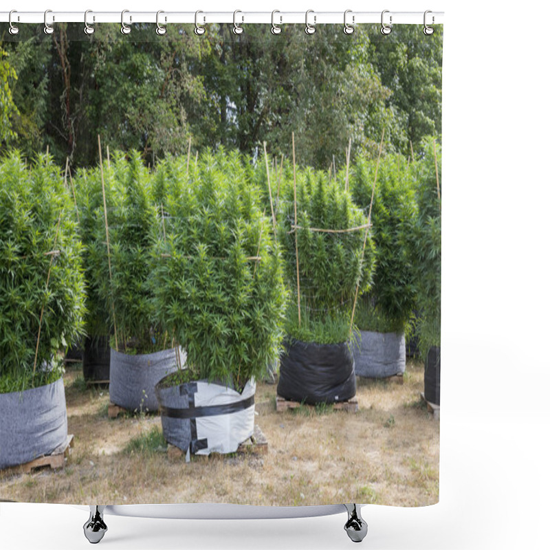 Personality  Legal Marijuana Grow Facility In Oregon Shower Curtains