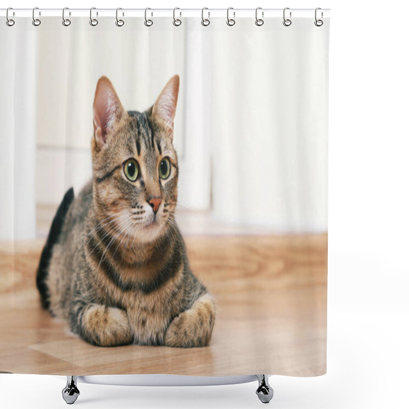 Personality   Cat Lying On Floor Shower Curtains