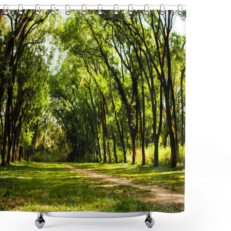 Personality  Fairytale Forest Landscape During The Sunny Day Shower Curtains