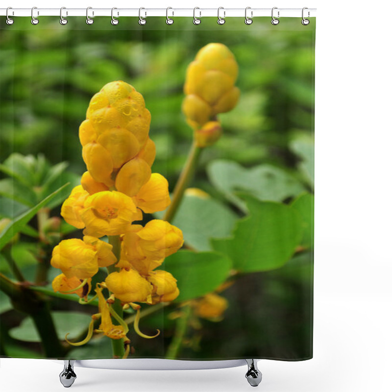 Personality  Candle Bush Flowers With Green Background Shower Curtains