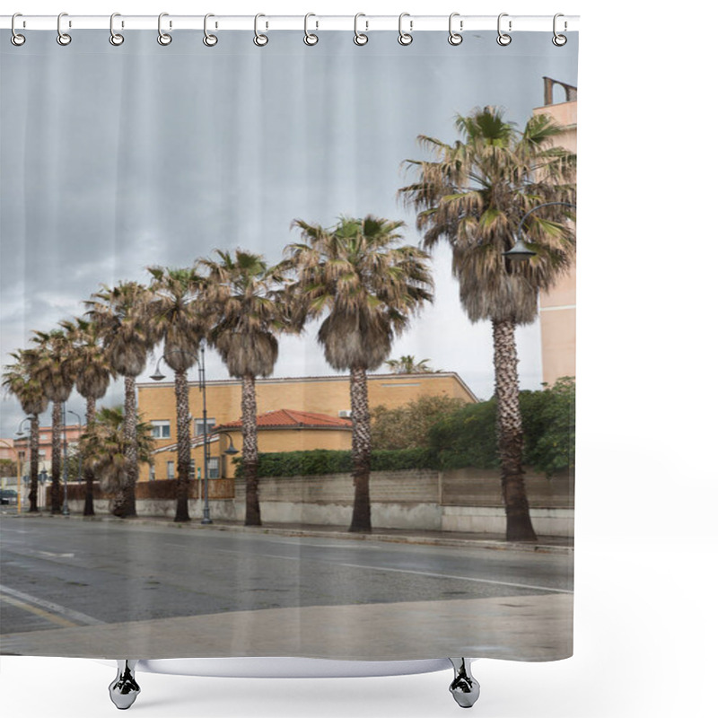 Personality  Palm Trees Shower Curtains