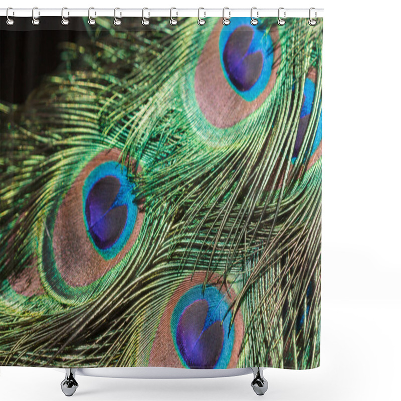 Personality  Peacock Feather Closeup Shower Curtains