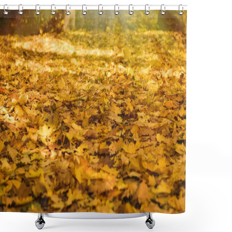 Personality  Fallen Golden Leaves Park Shower Curtains