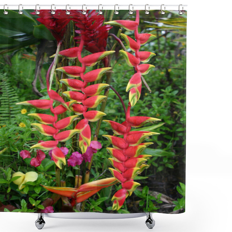 Personality  Heliconia Flower Cluster Shower Curtains