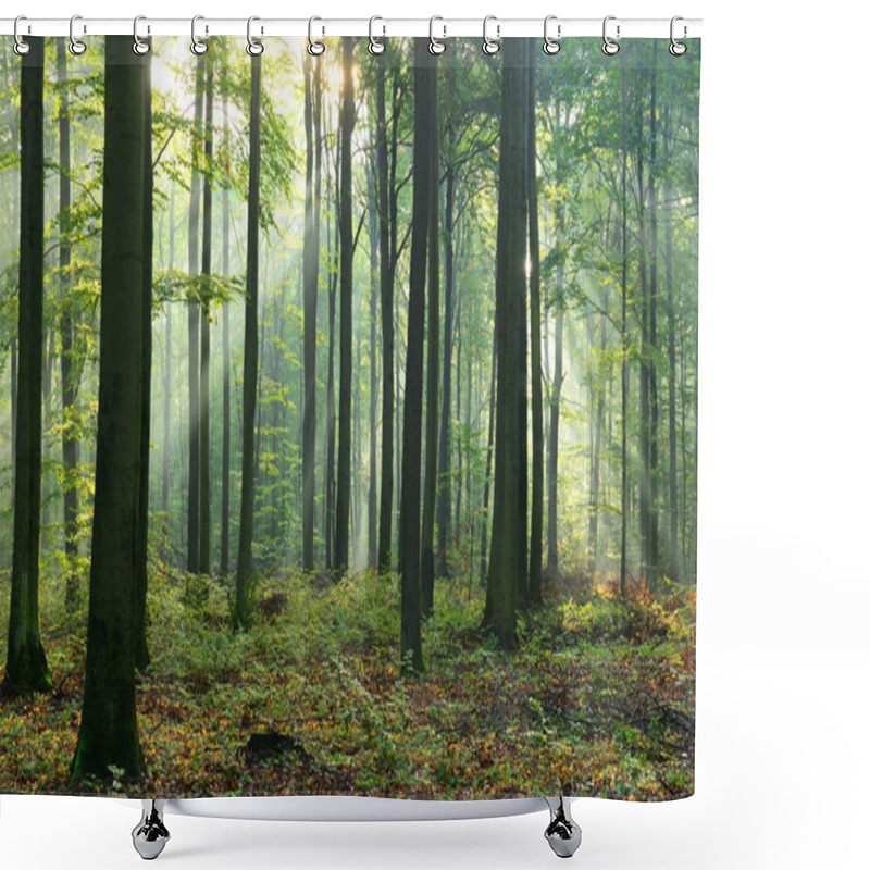 Personality  Beautiful Morning Sunbeams In Misty Forest Shower Curtains