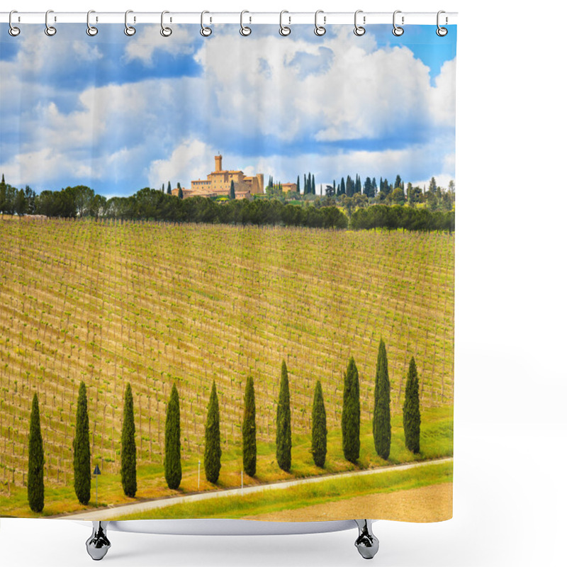 Personality  Tuscany, Vineyard, Cypress Trees And Road, Rural Landscape Shower Curtains