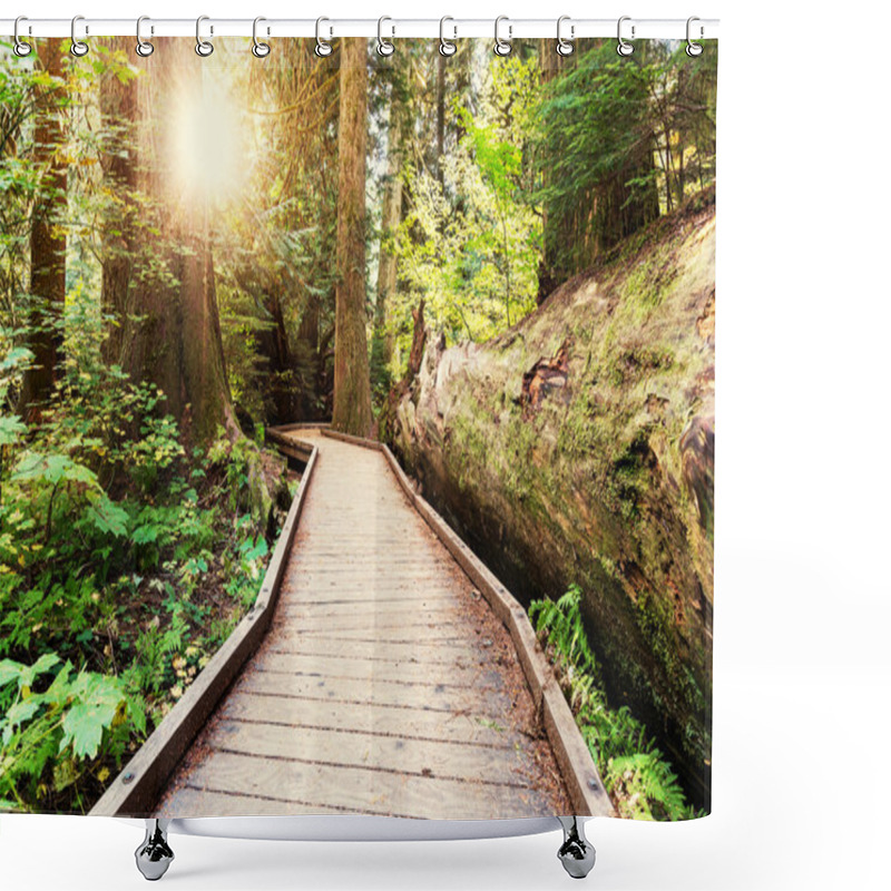 Personality  Boardwalk In Forest Shower Curtains