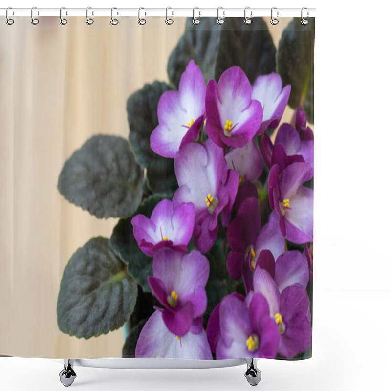 Personality  Bright Pink African Violet Flower On Wooden Table, Top View, Cozy Home Decor, Copy Space Shower Curtains