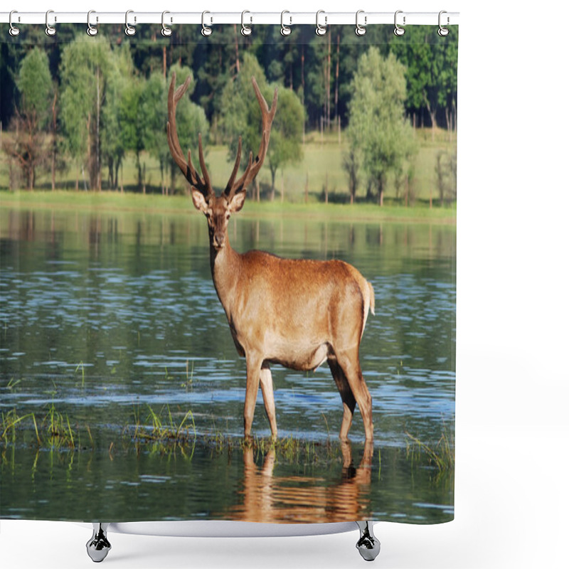 Personality  Deer Shower Curtains