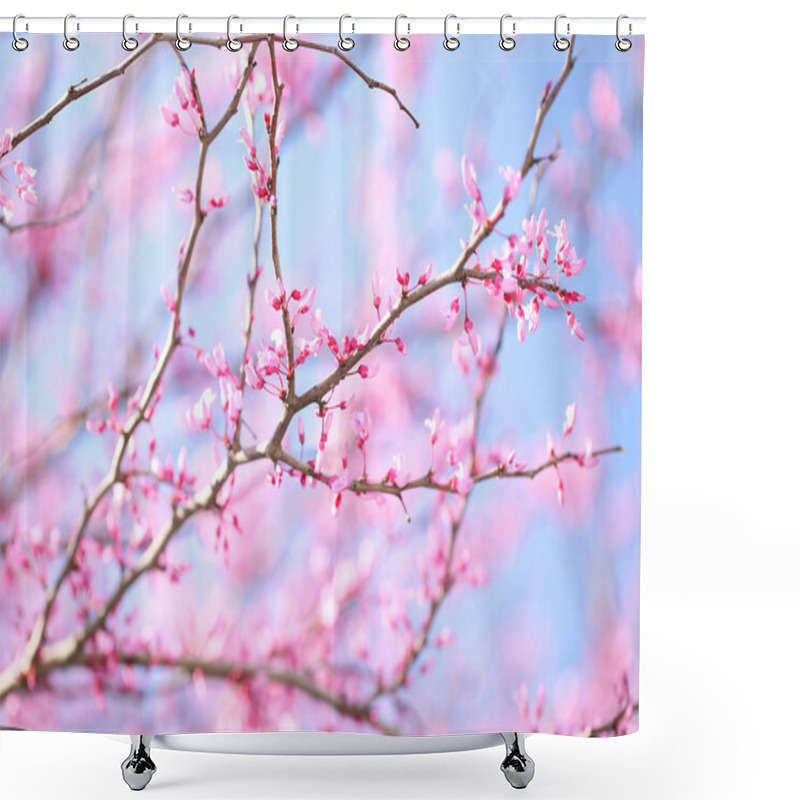 Personality  Spring Flowers. Purple Cercis Canadensis Or Eastern Redbud Bloss Shower Curtains