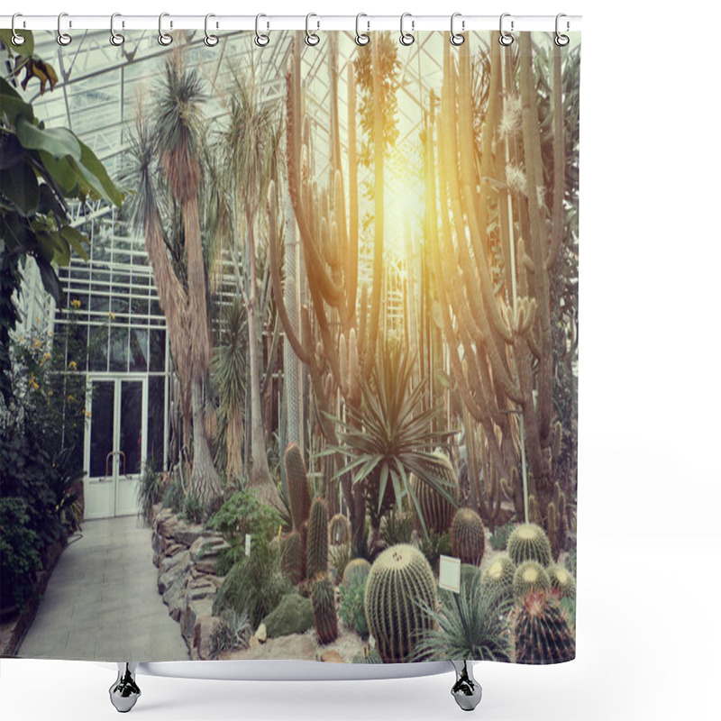 Personality  Tropical Path With Green Tropical Plants, Palms And Catuses With Sunset Sun At Botanical Garden In Europa Shower Curtains