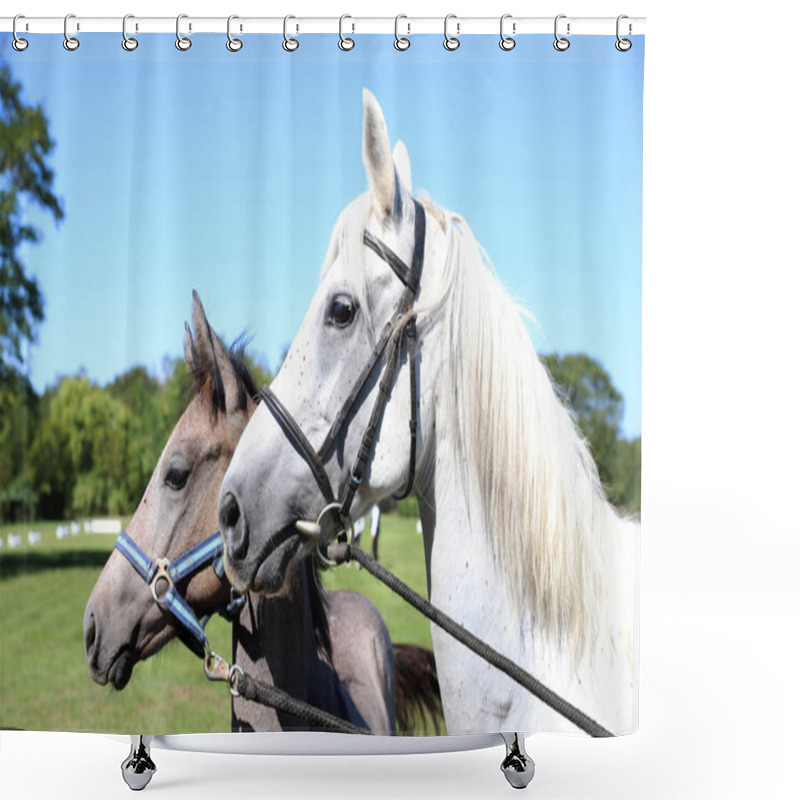 Personality  Young Mare And His Foal Show Off Their Skills On A Beautiful Summer Day, Equestrian Atmosphere Shower Curtains