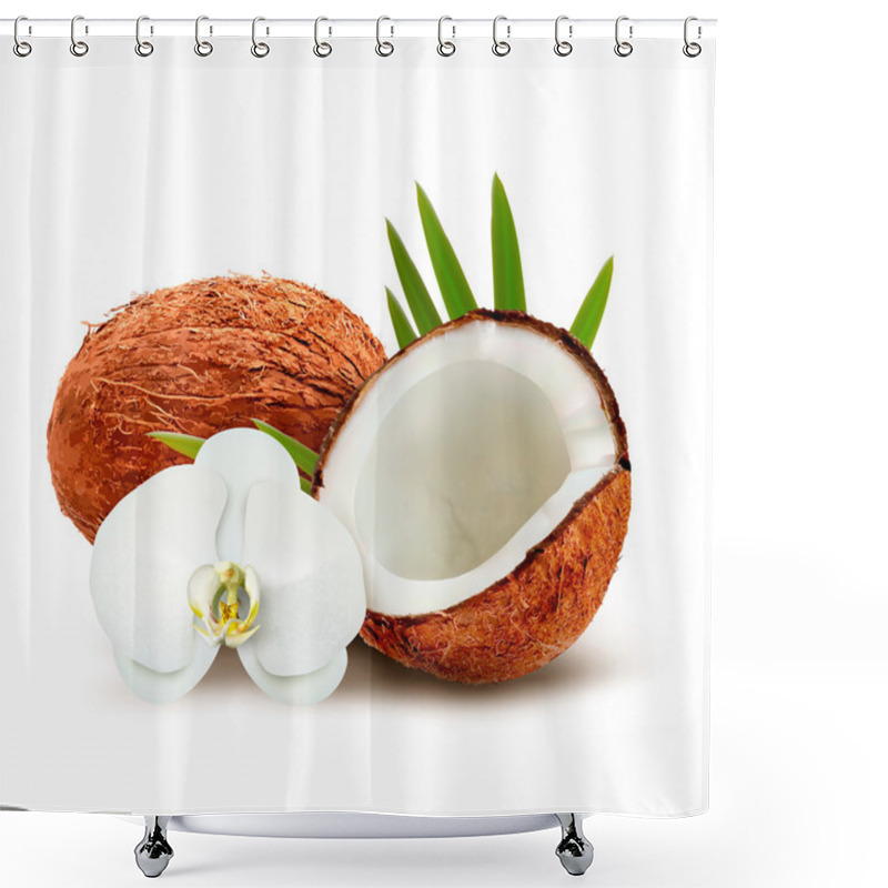 Personality  Coconut With Leaves And White Flower. Vector. Shower Curtains