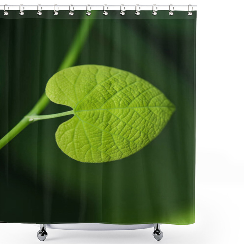 Personality  Green Plant Leaf In Form Of A Heart Shower Curtains