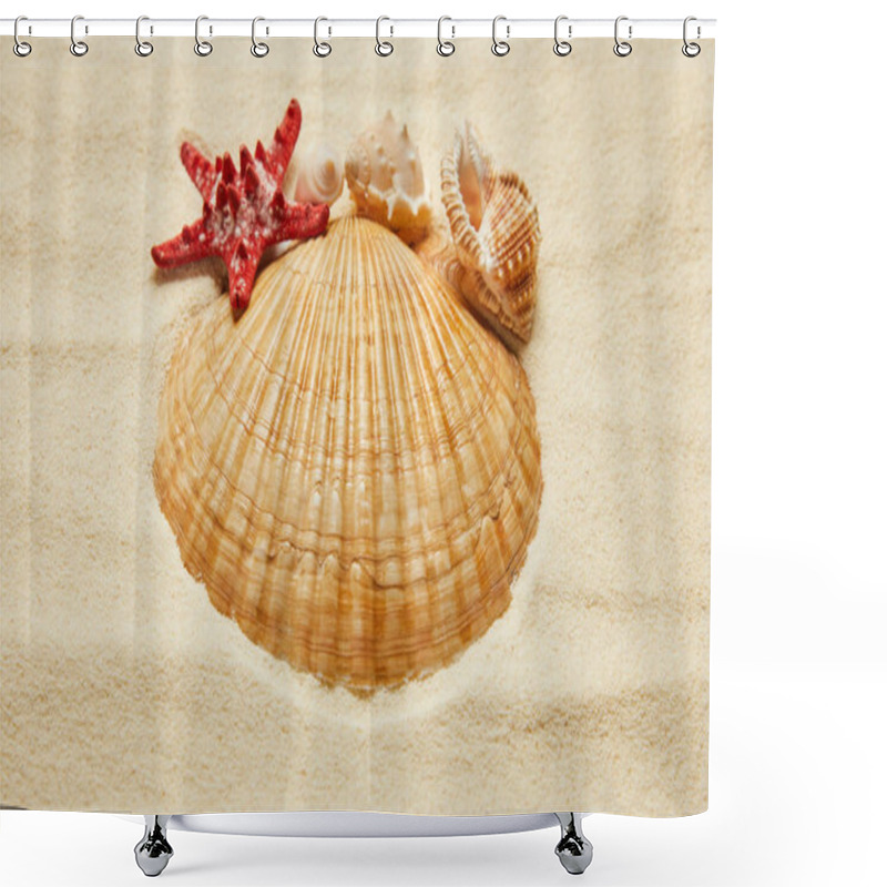 Personality  Selective Focus Of Seashells Near Red Starfish On Beach With Golden Sand  Shower Curtains