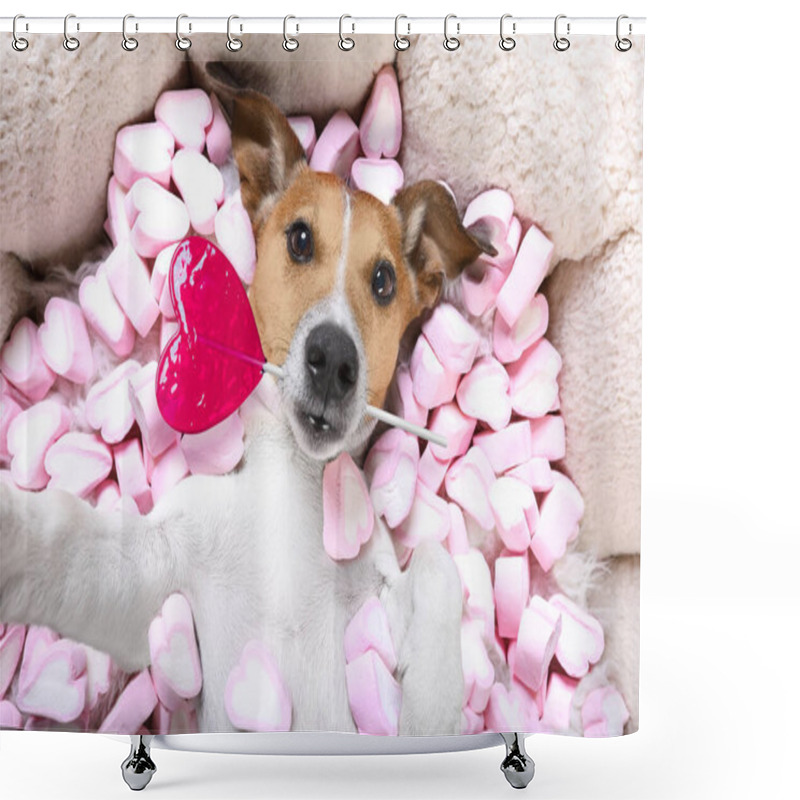 Personality  Jack Russell Dog Looking And Staring At You   ,while Lying On Bed Full Of Marshmallows As Background  , In Love, Pink Lolly Or Lollypop Shower Curtains