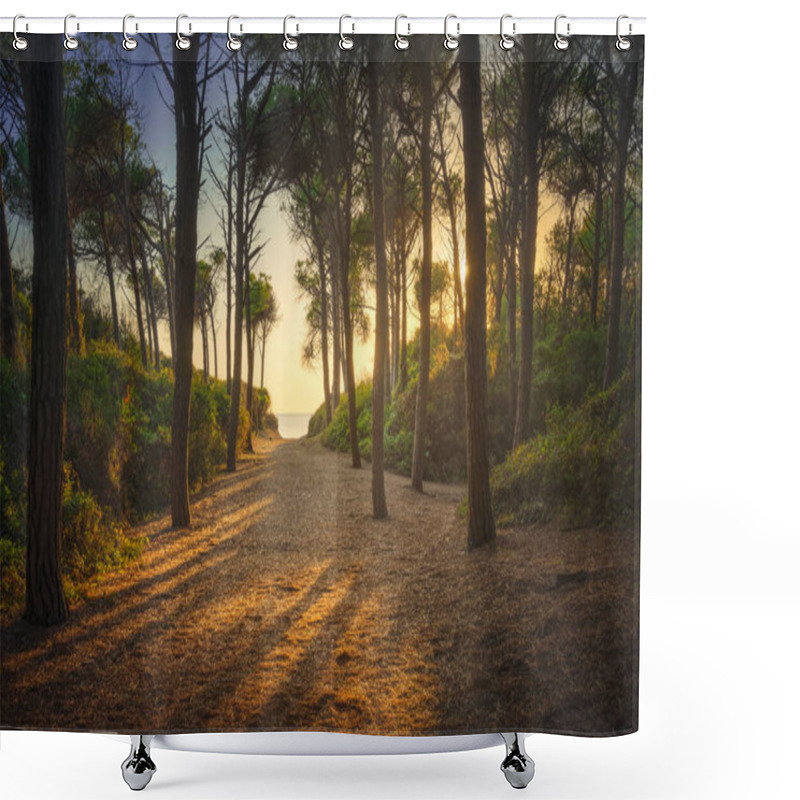 Personality  Path In Pinewood Forest And Sea At Sunset, Tombolo Di Marina Di Cecina, Maremma, Tuscany, Italy Europe. Shower Curtains