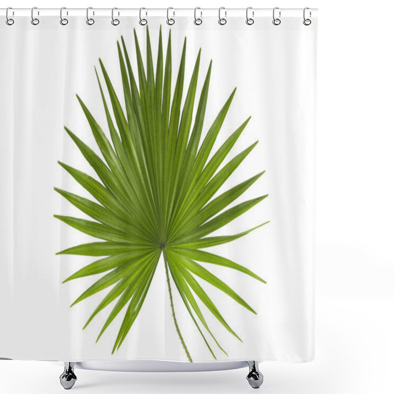 Personality  Palm Leaf Shower Curtains