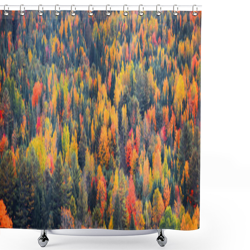 Personality  Canopy Of Autumn Trees In Rural Vermont Shower Curtains