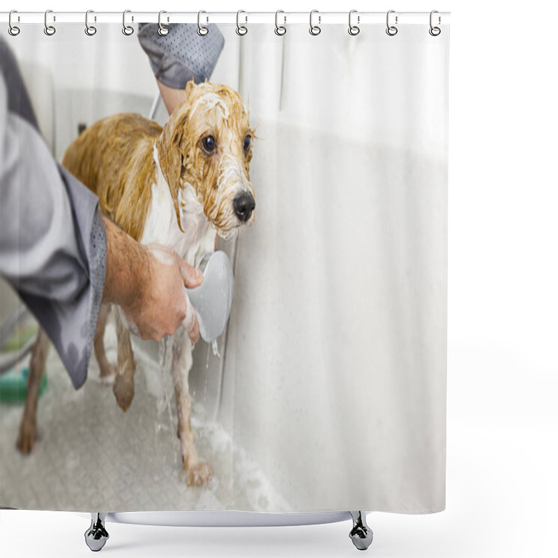 Personality  Man Bathing Cute Dog Shower Curtains