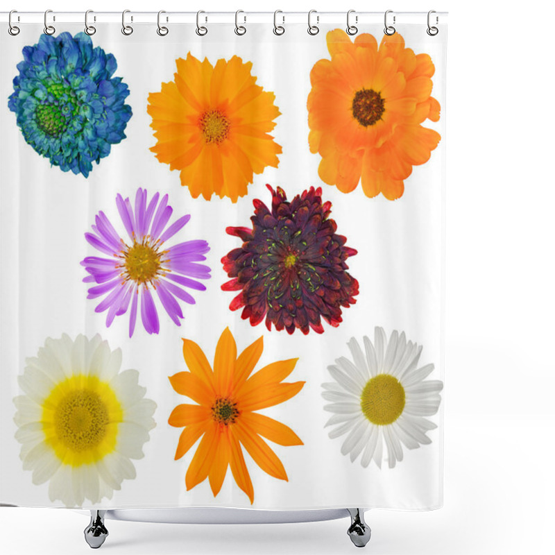 Personality  Eight Garden Isolated Flowers Shower Curtains