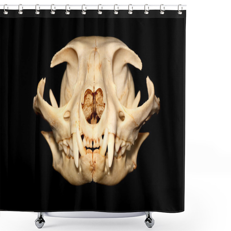 Personality  Cat Skull Shower Curtains