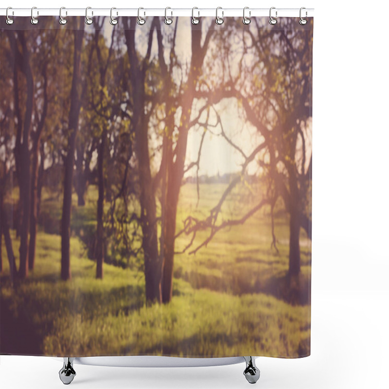 Personality  Autumnal Nature Background Shower Curtains