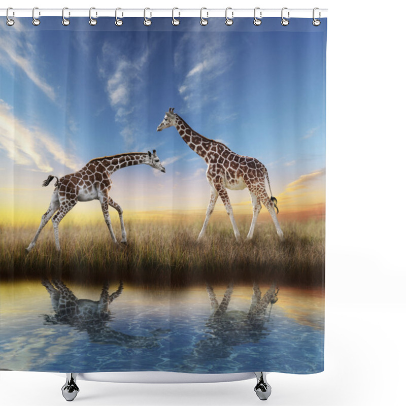 Personality  Two Giraffes At Sunset Shower Curtains